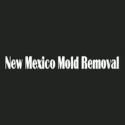 Professional Mold Removal Service in Albuquerque